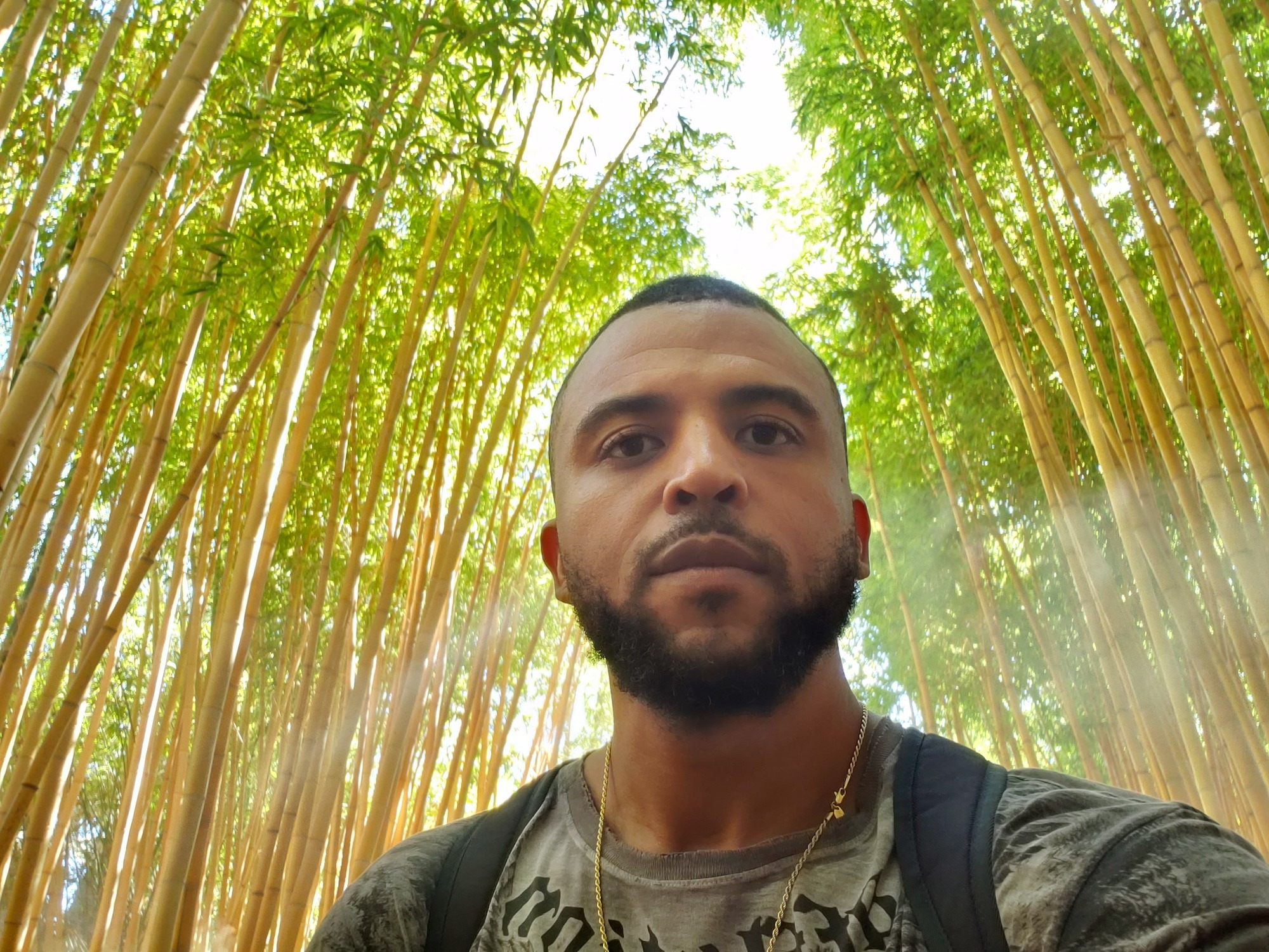 Avatar picture